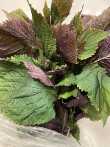 Shiso leaves bunch