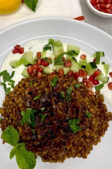 Syrian Mujadara dish plated with yoghurt sauce pomegranate Leeds and cucumbers - cropped picture