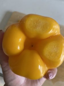 Butt of the yellow bell pepper with the bottom slightly trimmed.